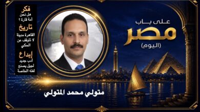 متولي محمد المتولي