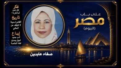 صفاء عابدين
