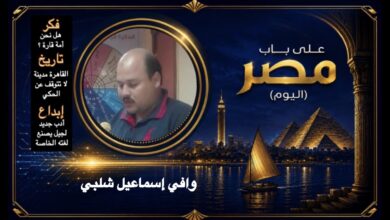 وافي إسماعيل شلبي